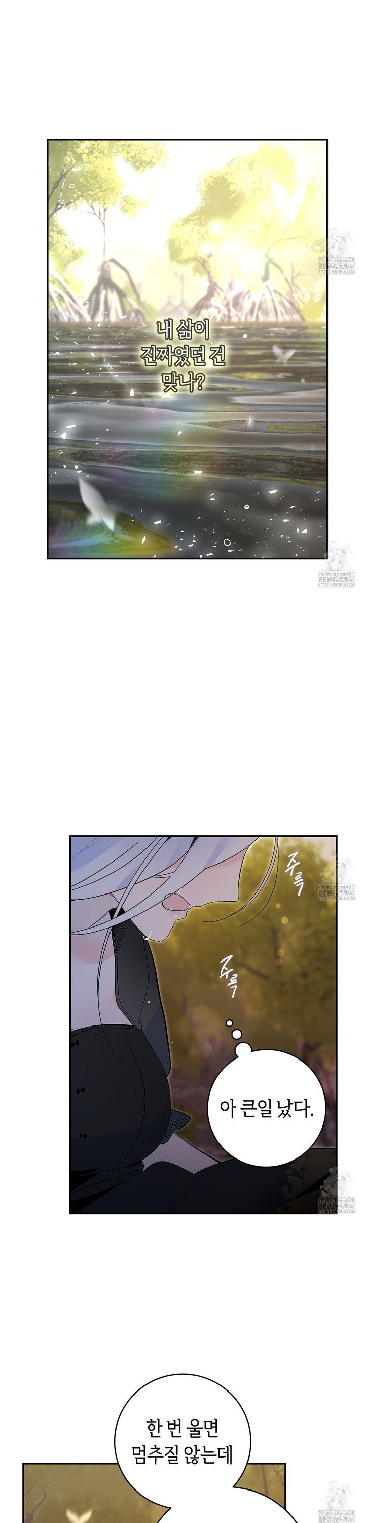 데스메탈 세이렌은 처음이신가요? 16화 - 웹툰 이미지 22