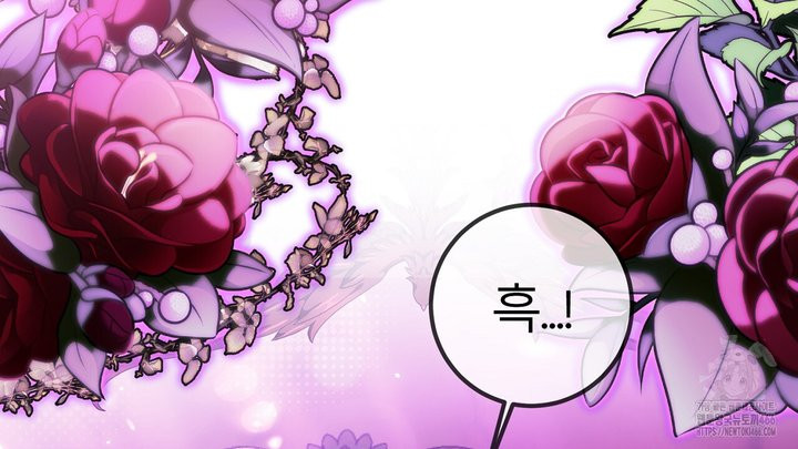 세이렌:저주의시작 1화 - 웹툰 이미지 12