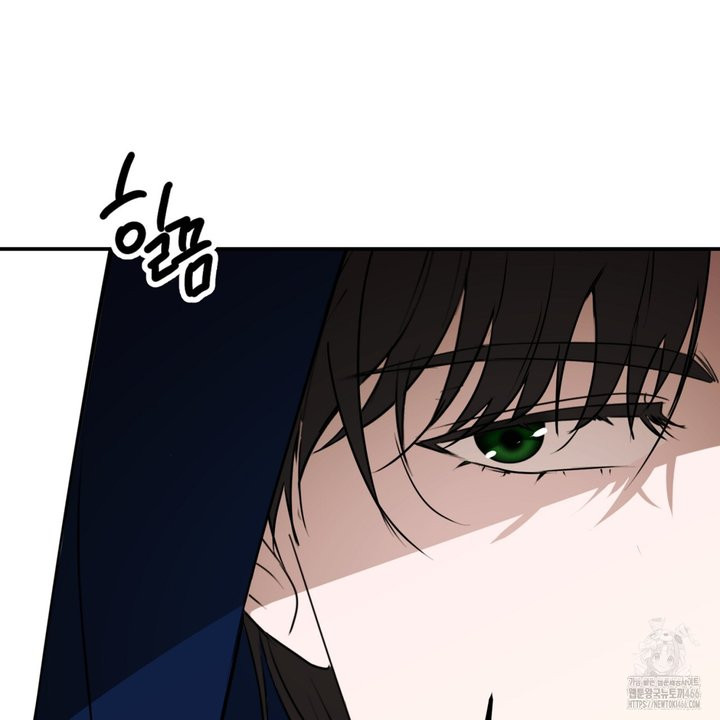 세이렌:저주의시작 1화 - 웹툰 이미지 245