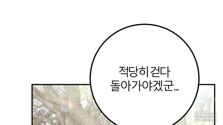 세이렌:저주의시작 1화 - 웹툰 이미지 260