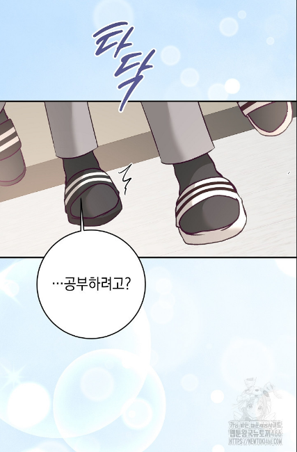 민들레 관찰일지 19화 - 웹툰 이미지 41