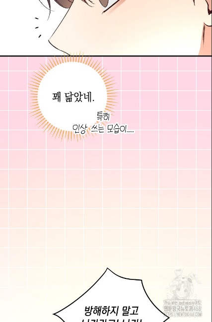 민들레 관찰일지 23화 - 웹툰 이미지 16